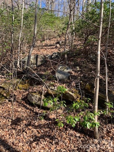 Property image 3 at Tbd Rhododendron Drive, Old Fort, NC 28762