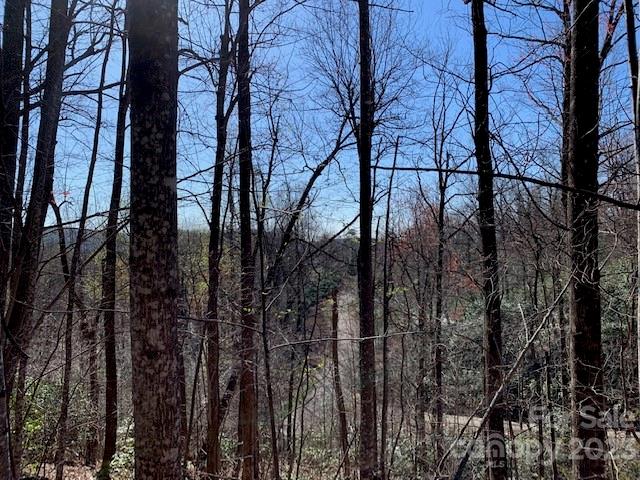 Property image 4 at Tbd Rhododendron Drive, Old Fort, NC 28762