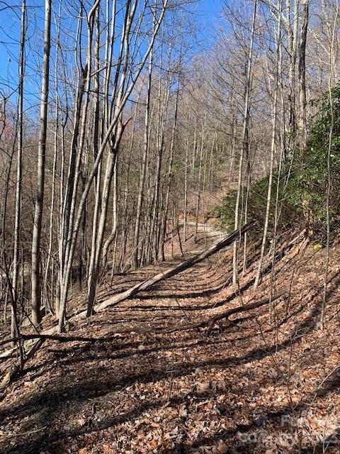 Property image 5 at Tbd Rhododendron Drive, Old Fort, NC 28762