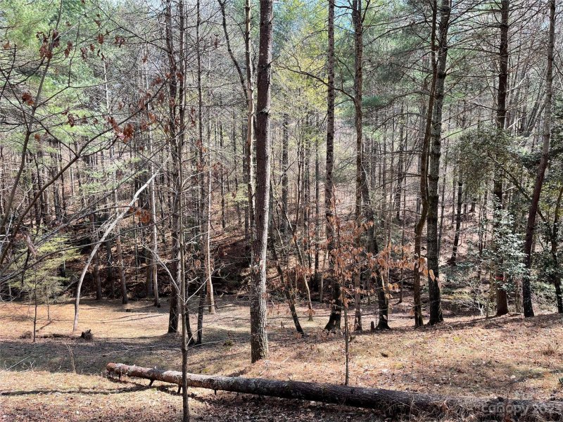 Property image 5 at 3160 Bear Paw Avenue, Valdese, NC 28690