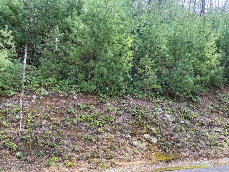 Property image 3 at Lot 69 Peppervine Circle, Rosman, NC 28772