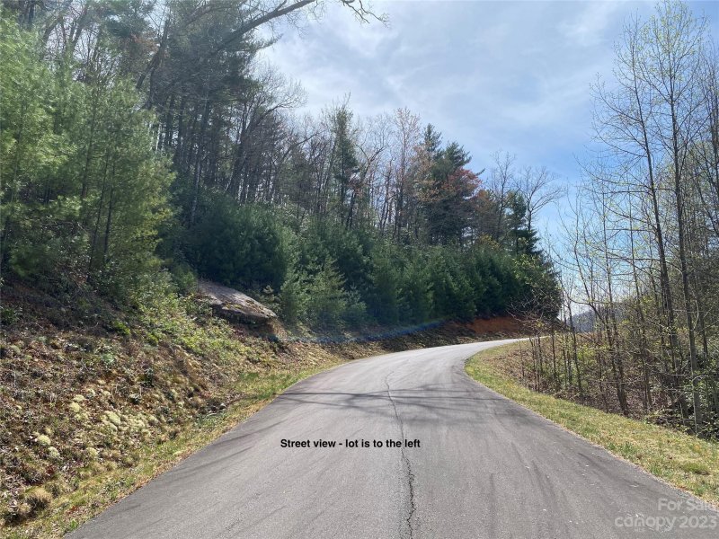 Property image 4 at Lot 69 Peppervine Circle, Rosman, NC 28772