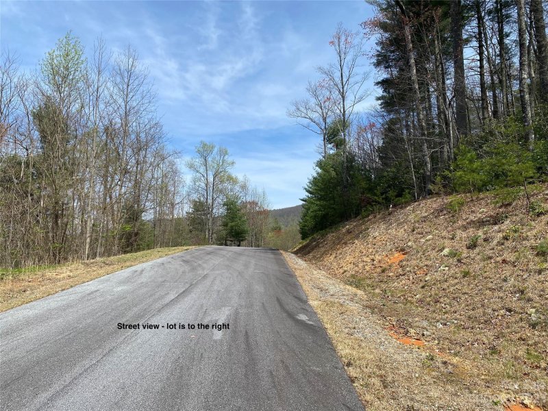 Property image 2 at Lot 68 Peppervine Circle, Rosman, NC 28772