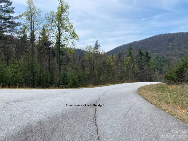 Property image 3 at Lot 68 Peppervine Circle, Rosman, NC 28772
