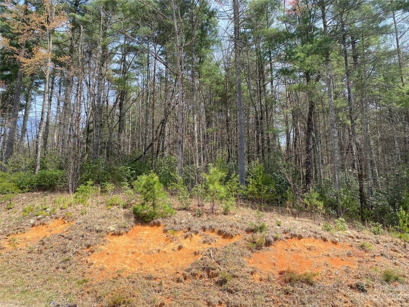 Property image 4 at Lot 68 Peppervine Circle, Rosman, NC 28772