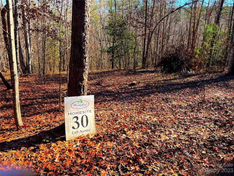 Property image 4 at Lot 30 S Cross Creek Trail, Mill Spring, NC 28756