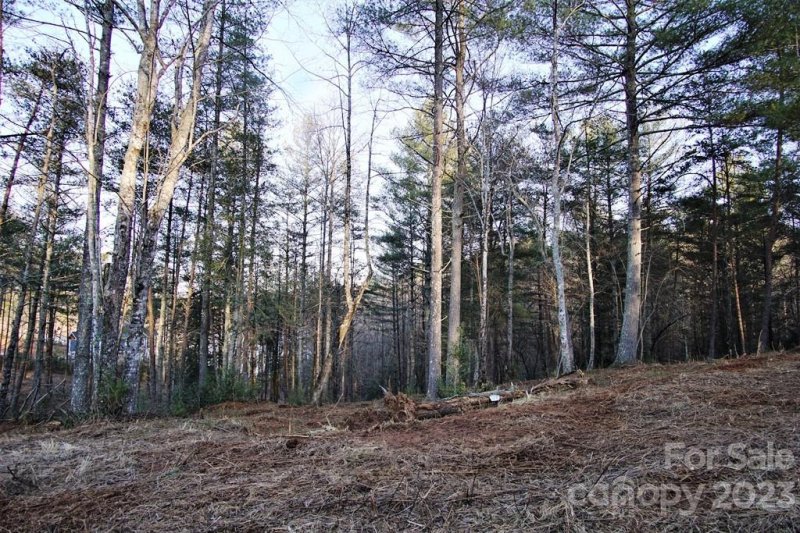 Property image 3 at 3492 Peninsula Pointe Drive, Valdese, NC 28690