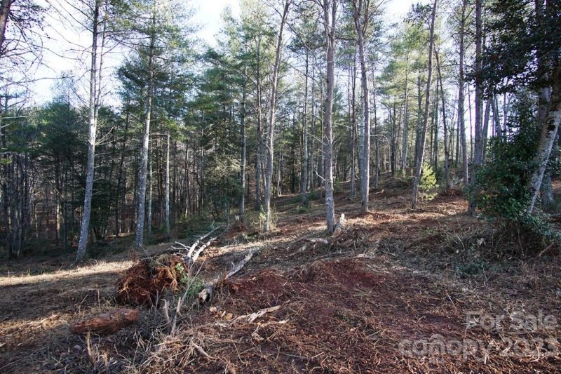 Property image 5 at 3492 Peninsula Pointe Drive, Valdese, NC 28690