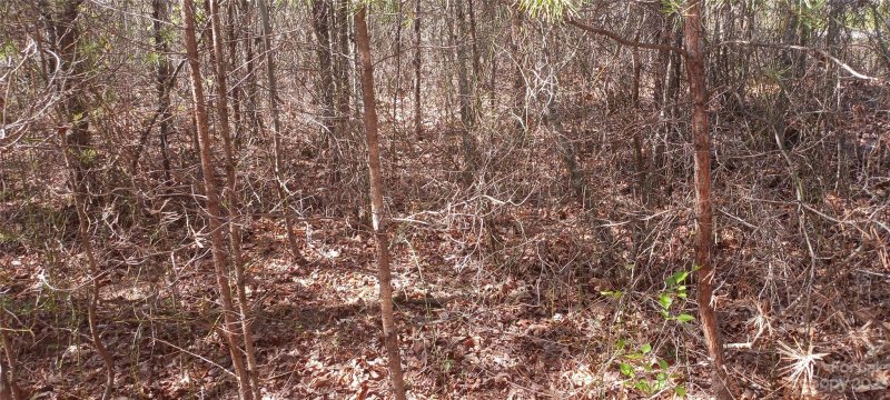 Property image 4 at Tbd Biggerstaff Loop, Nebo, NC 28761