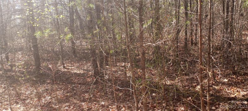 Property image 5 at Tbd Biggerstaff Loop, Nebo, NC 28761