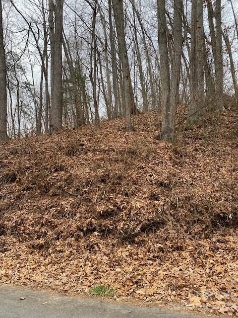 Property image 2 at Lot Liberty Road, Waynesville, NC 28785