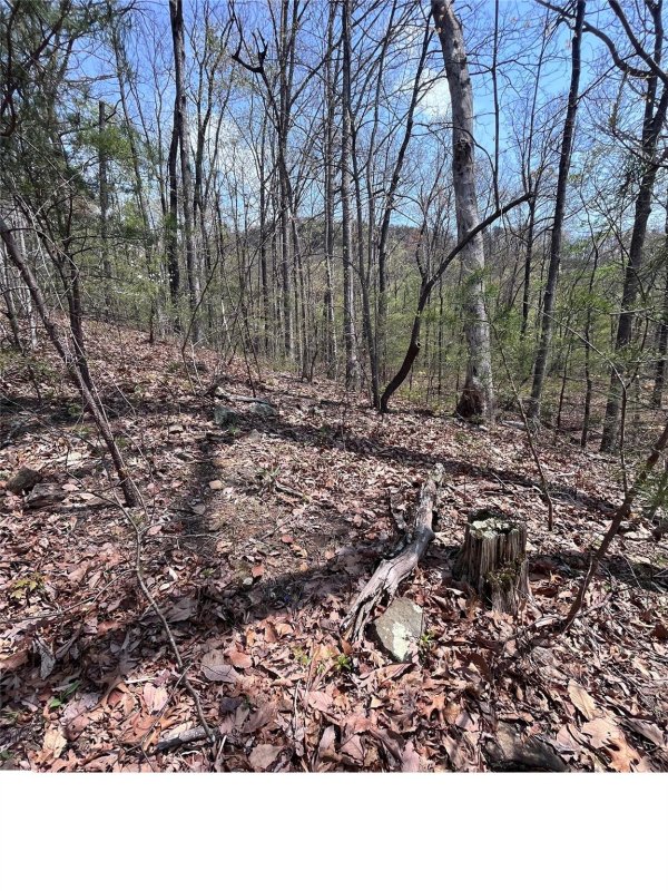 Property image 2 at 0 Doubleview Drive, Union Mills, NC 28167