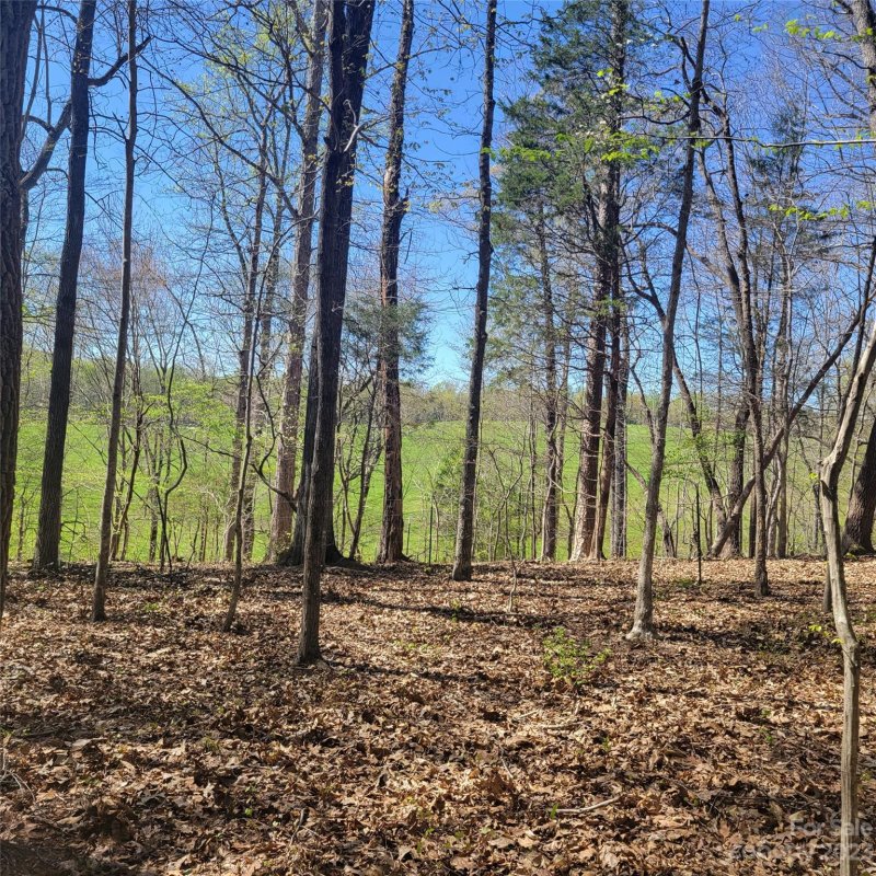 Property image 5 at 1033 Harrogate Drive, Bessemer City, NC 28016