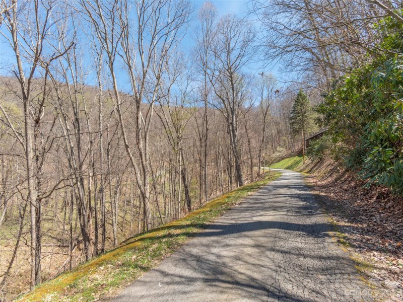 Property image 3 at 19 20 Dream Mountain Boulevard, Canton, NC 28716