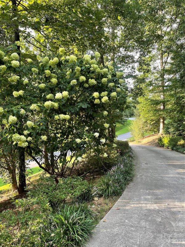 Property image 3 at 576 Brook Knoll Circle, Weaverville, NC 28787