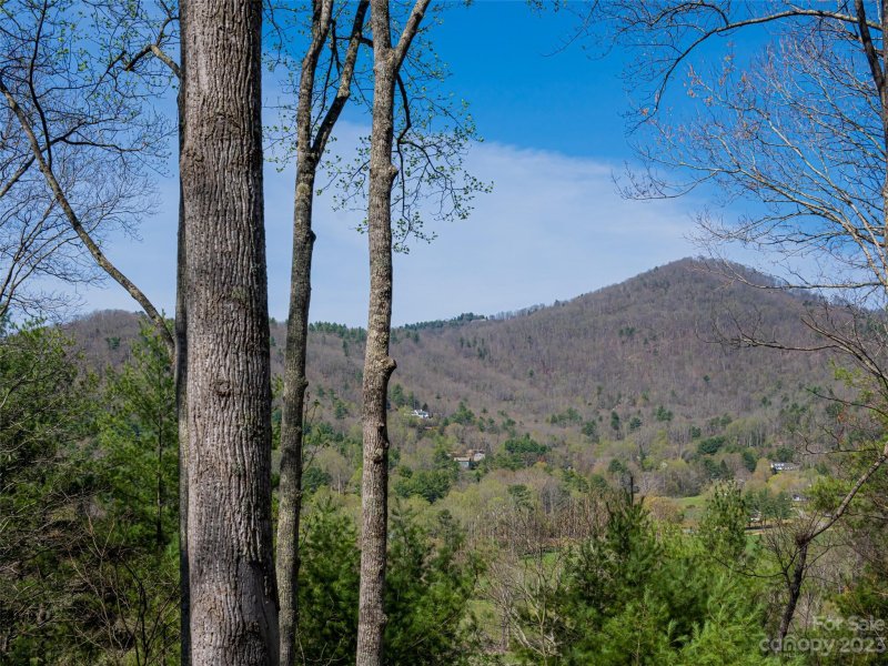 Property image 3 at 105 Buffalo Trail, Asheville, NC 28805