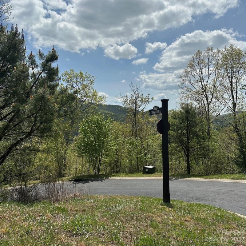 Property image 2 at Lt 131 Watershed Way, Mills River, NC 28759