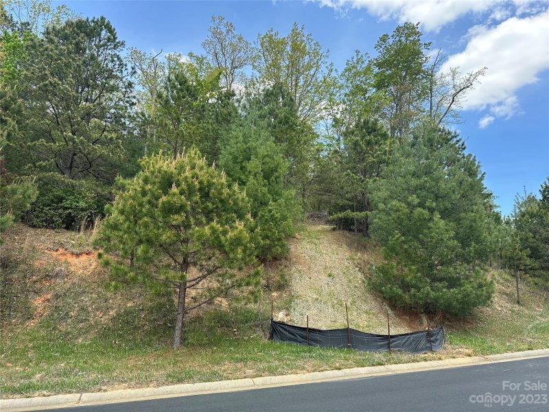 Property image 3 at Lt 131 Watershed Way, Mills River, NC 28759