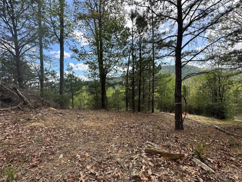 Property image 4 at Lt 131 Watershed Way, Mills River, NC 28759