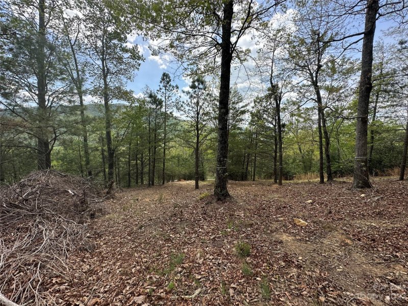 Property image 5 at Lt 131 Watershed Way, Mills River, NC 28759