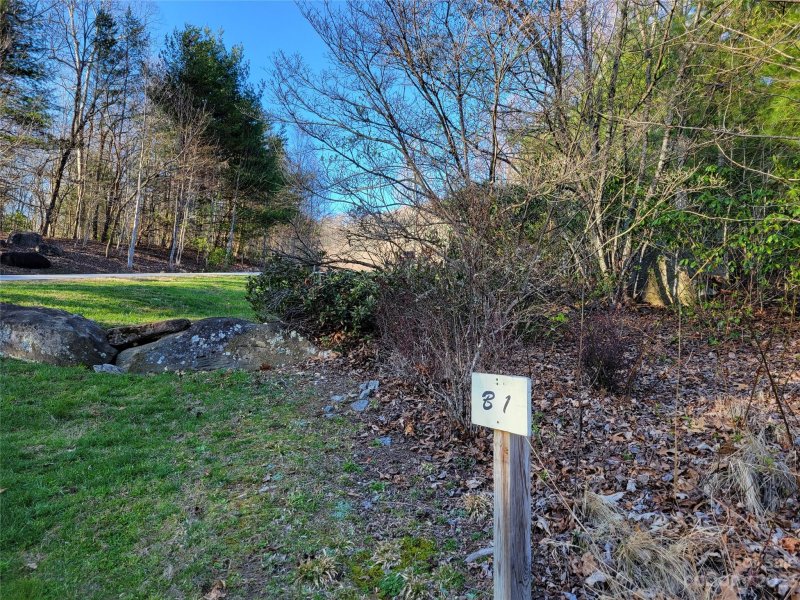 Property image 3 at 120 Somersby Parkway, Laurel Park, NC 28739