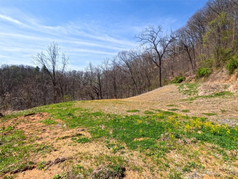 Property image 3 at Lot 27 Running Deer Lane, Mars Hill, NC 28754