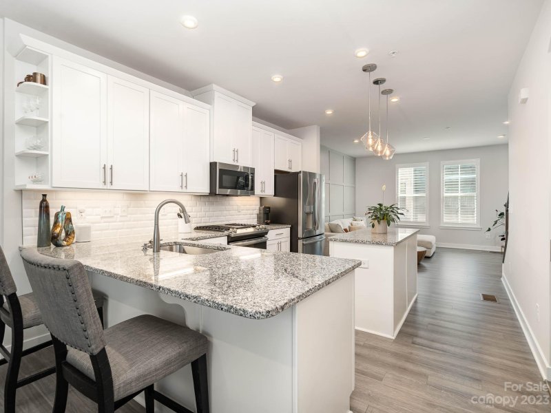 Property image 3 at 163 Music Hall Way, Charlotte, NC 28203