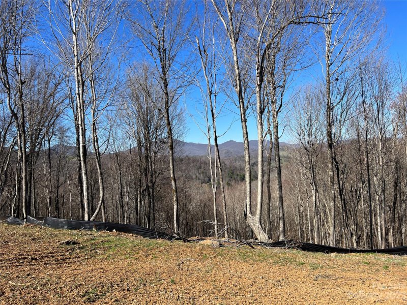 Property image 5 at Tbd Lot 33 Poplar Forest Drive, Boone, NC 28607