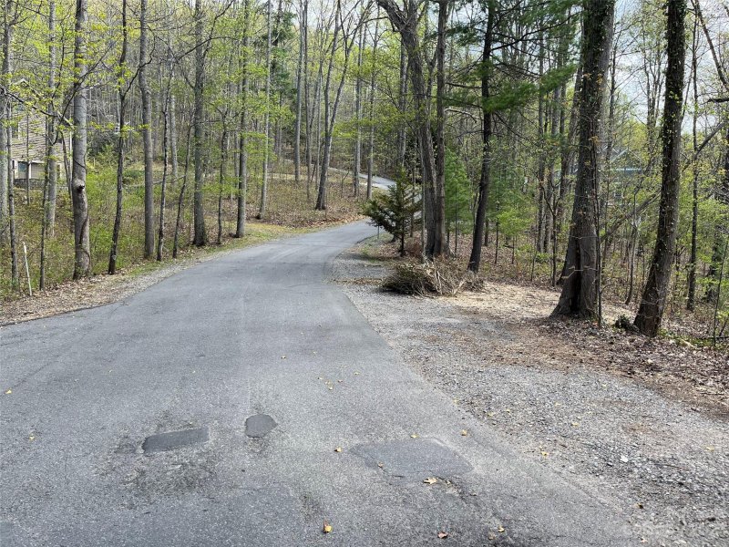 Property image 3 at 99999 Buffalo Trail, Asheville, NC 28805