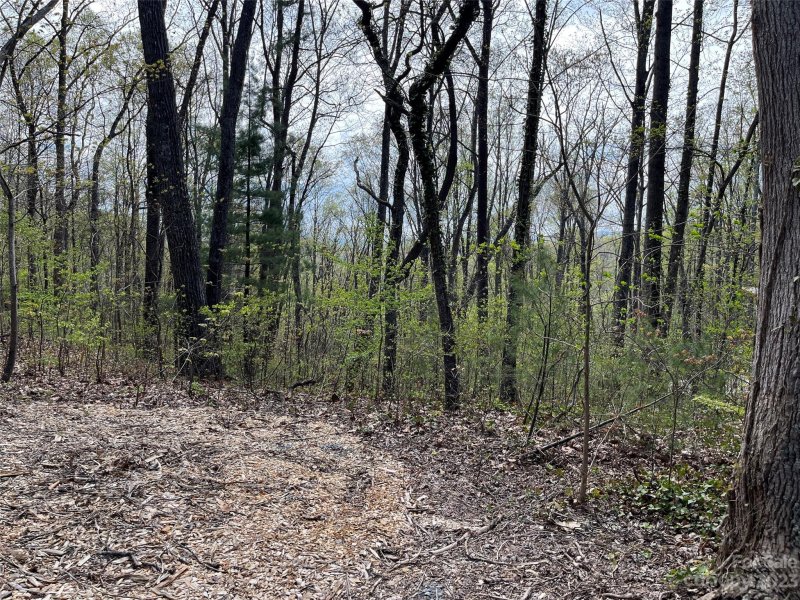 Property image 5 at 99999 Buffalo Trail, Asheville, NC 28805