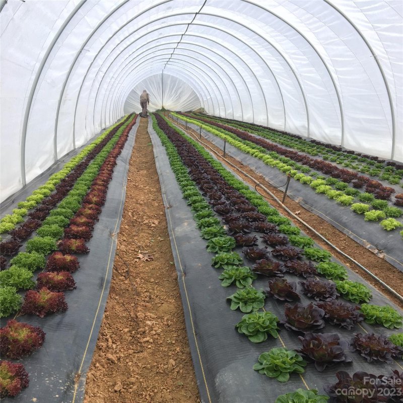 Property image 5 at 52 Sweet Fern Parkway, Asheville, NC 28804