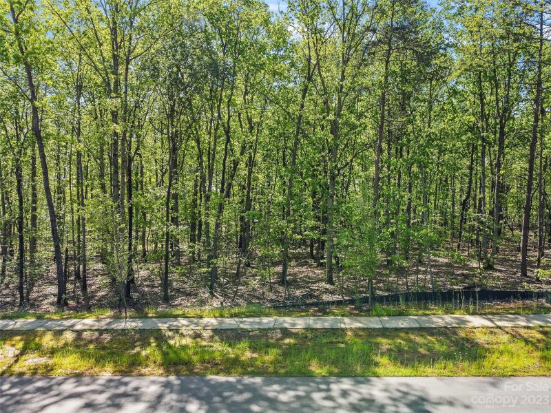 Property image 3 at Lot 14 Brancer Lane, Lincolnton, NC 28092