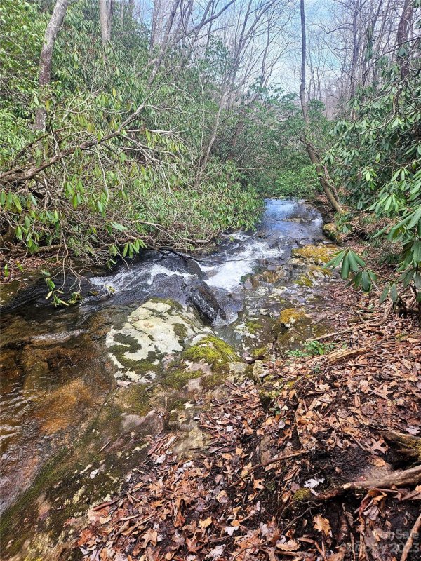 Property image 2 at Tbd Sydney Falls Trail, Old Fort, NC 28762