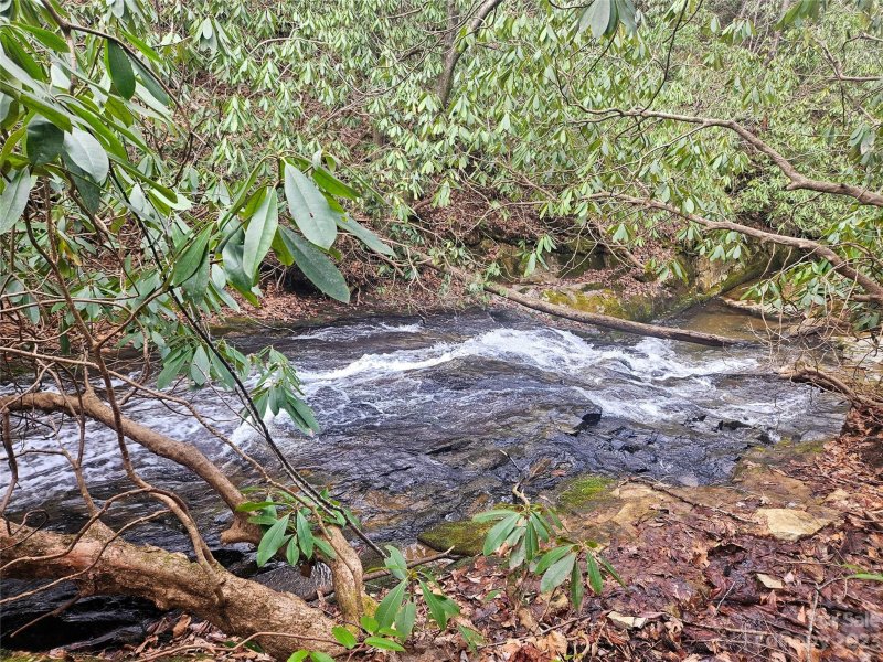 Property image 3 at Tbd Sydney Falls Trail, Old Fort, NC 28762