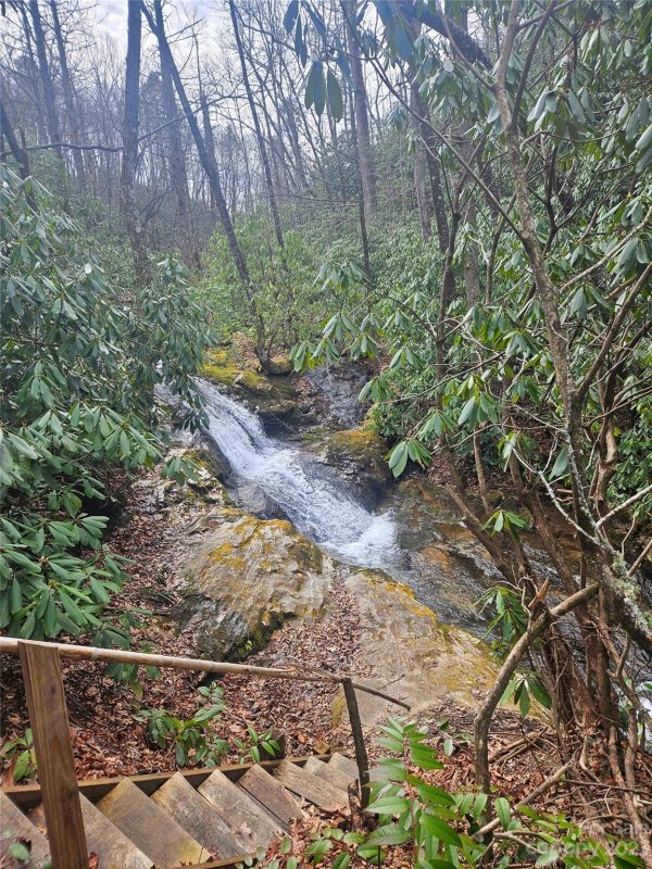 Property image 4 at Tbd Sydney Falls Trail, Old Fort, NC 28762