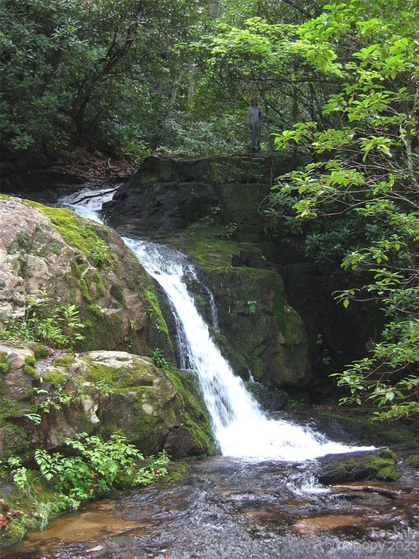 Property image 5 at Tbd Sydney Falls Trail, Old Fort, NC 28762