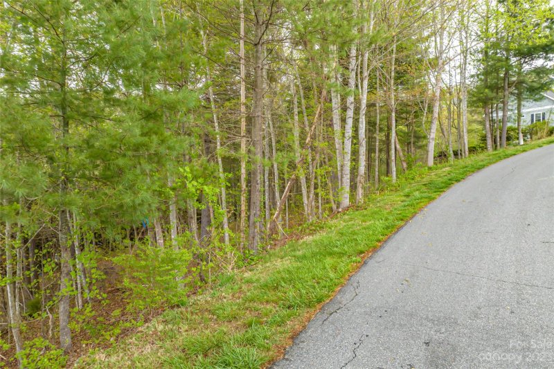 Property image 2 at 86 High Bluff Drive, Weaverville, NC 28787