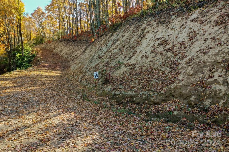 Property image 5 at Tract 15 Sigogglin Trail, Waynesville, NC 28785