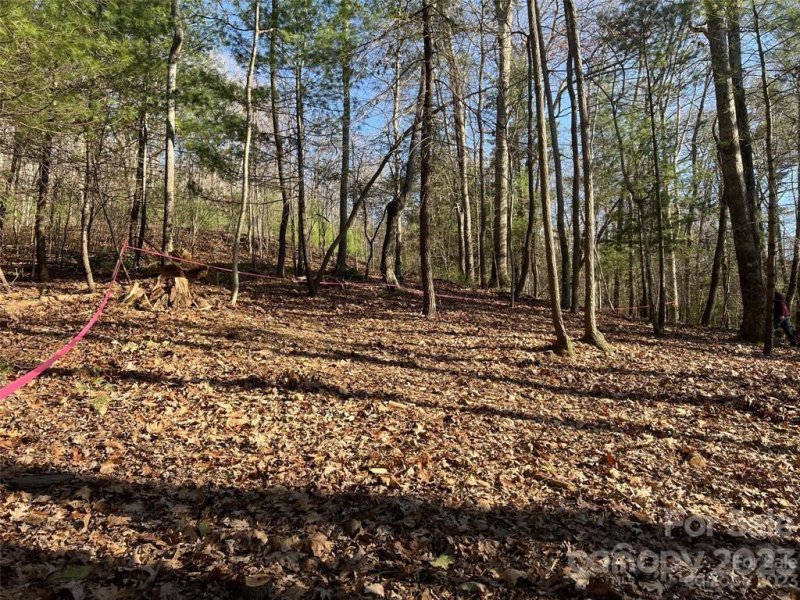 Property image 4 at 64 Giffords Lane, Asheville, NC 28803