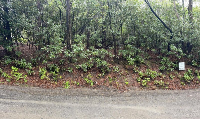 Property image 2 at Na Buckner Road, Black Mountain, NC 28711