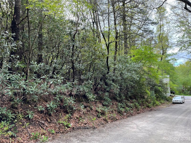 Property image 3 at Na Buckner Road, Black Mountain, NC 28711