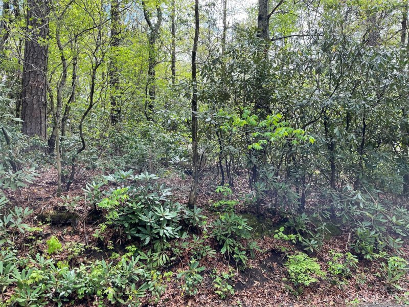 Property image 4 at Na Buckner Road, Black Mountain, NC 28711