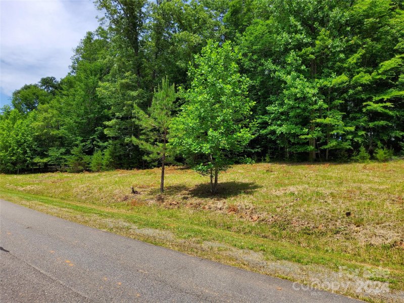 Property image 3 at 0 Cinnamon Ridge, Rutherfordton, NC 28139
