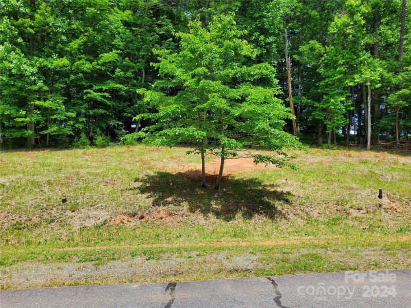 Property image 4 at 0 Cinnamon Ridge, Rutherfordton, NC 28139