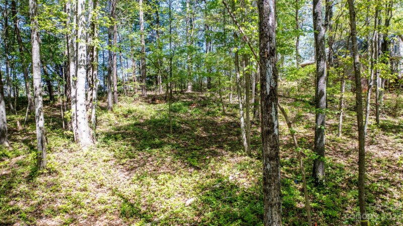 Property image 4 at 2972 Dogwood Street, Newton, NC 28658