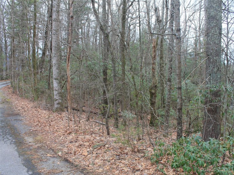 Property image 3 at 000 Wildlife Trail, Hendersonville, NC 28739