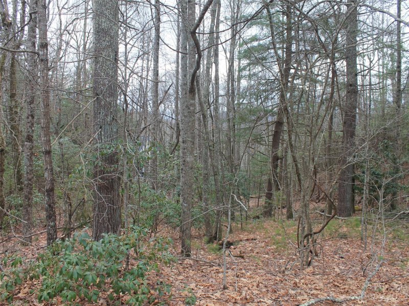 Property image 4 at 000 Wildlife Trail, Hendersonville, NC 28739
