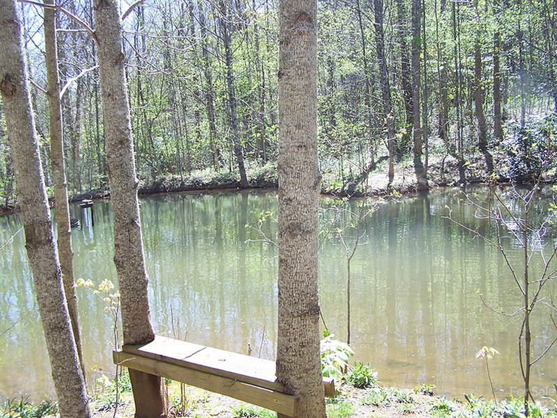 Property image 2 at 000 Chestnut Flats Lane, Waynesville, NC 28786