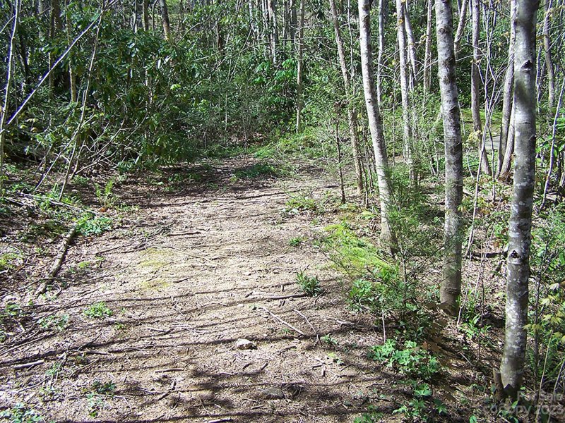 Property image 3 at 000 Chestnut Flats Lane, Waynesville, NC 28786