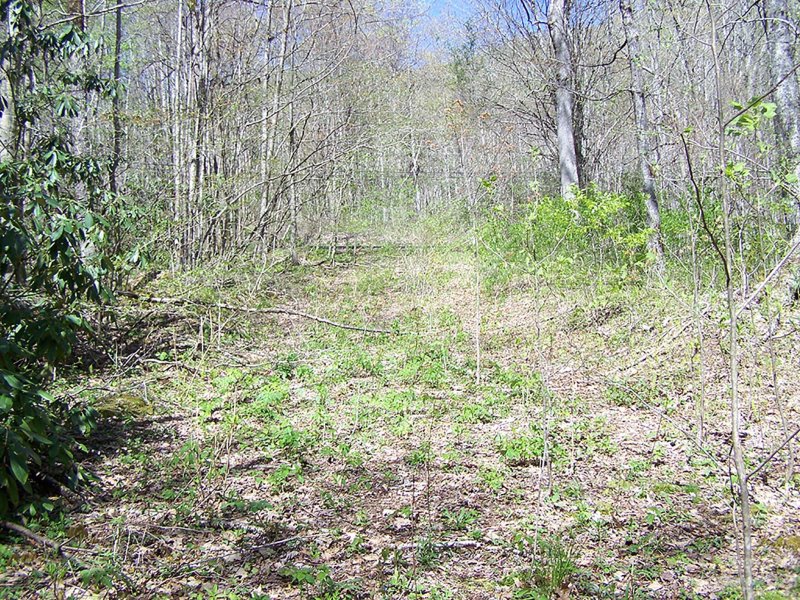 Property image 4 at 000 Chestnut Flats Lane, Waynesville, NC 28786